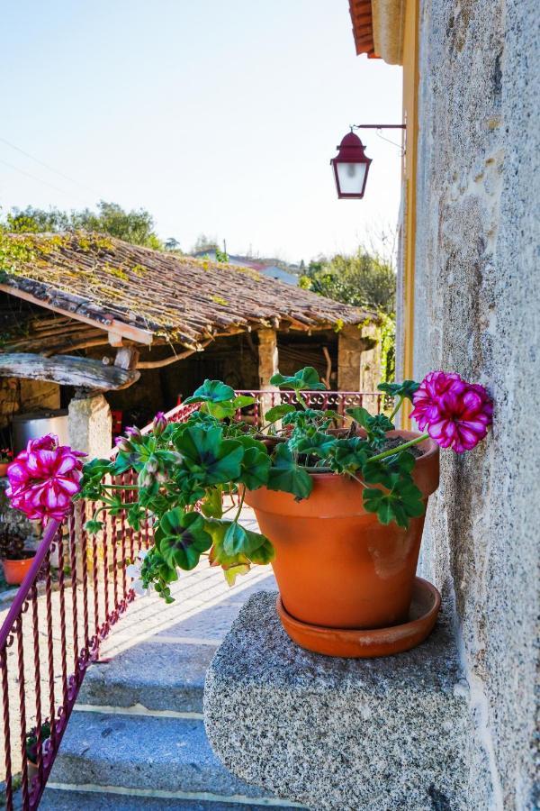 Casa Do Ribeiro Konuk evi Lago  Dış mekan fotoğraf